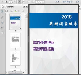 2018軟件外包行業(yè)薪酬調查報告69頁